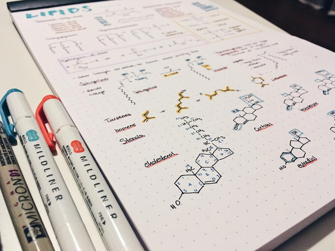 Digital vs. Analog Notes: Boost Learning with Pen Plotters